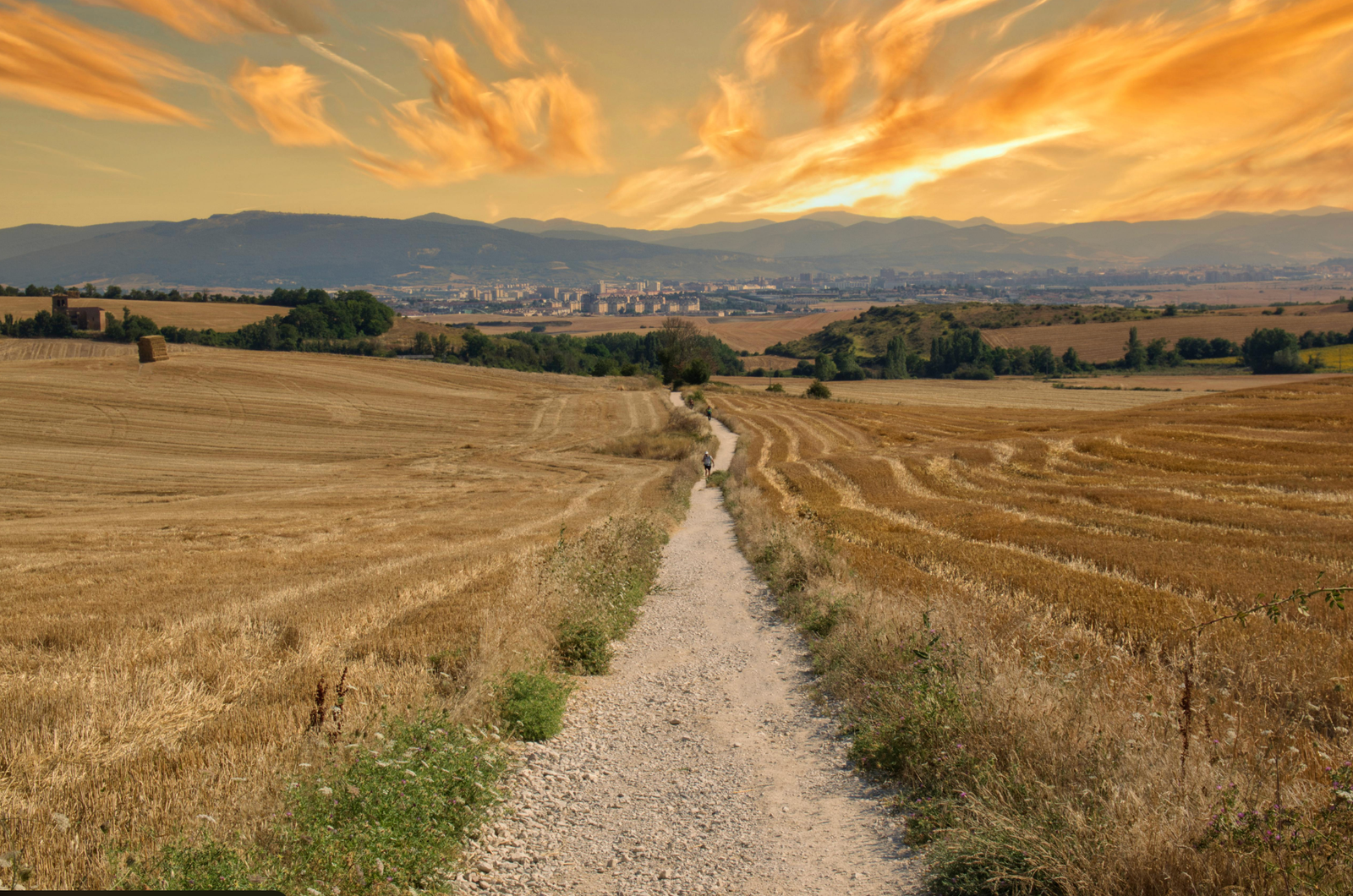 Camino de Santiago path across golden fields at sunset