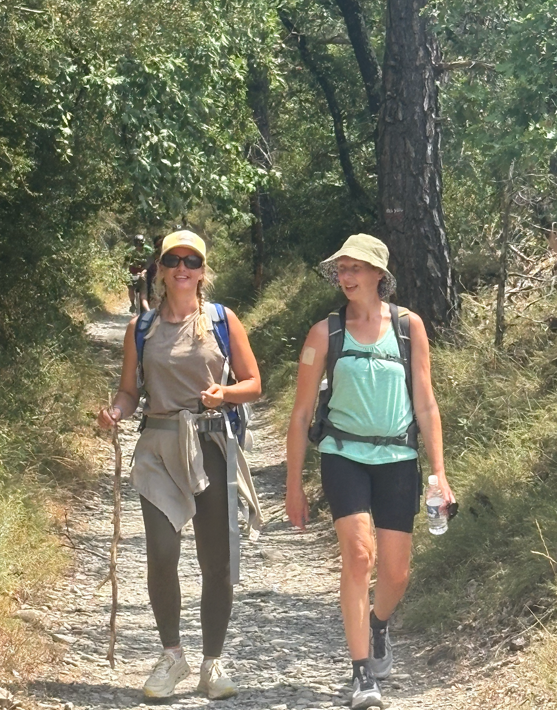 Two walkers on a sunlit wooded Camino path